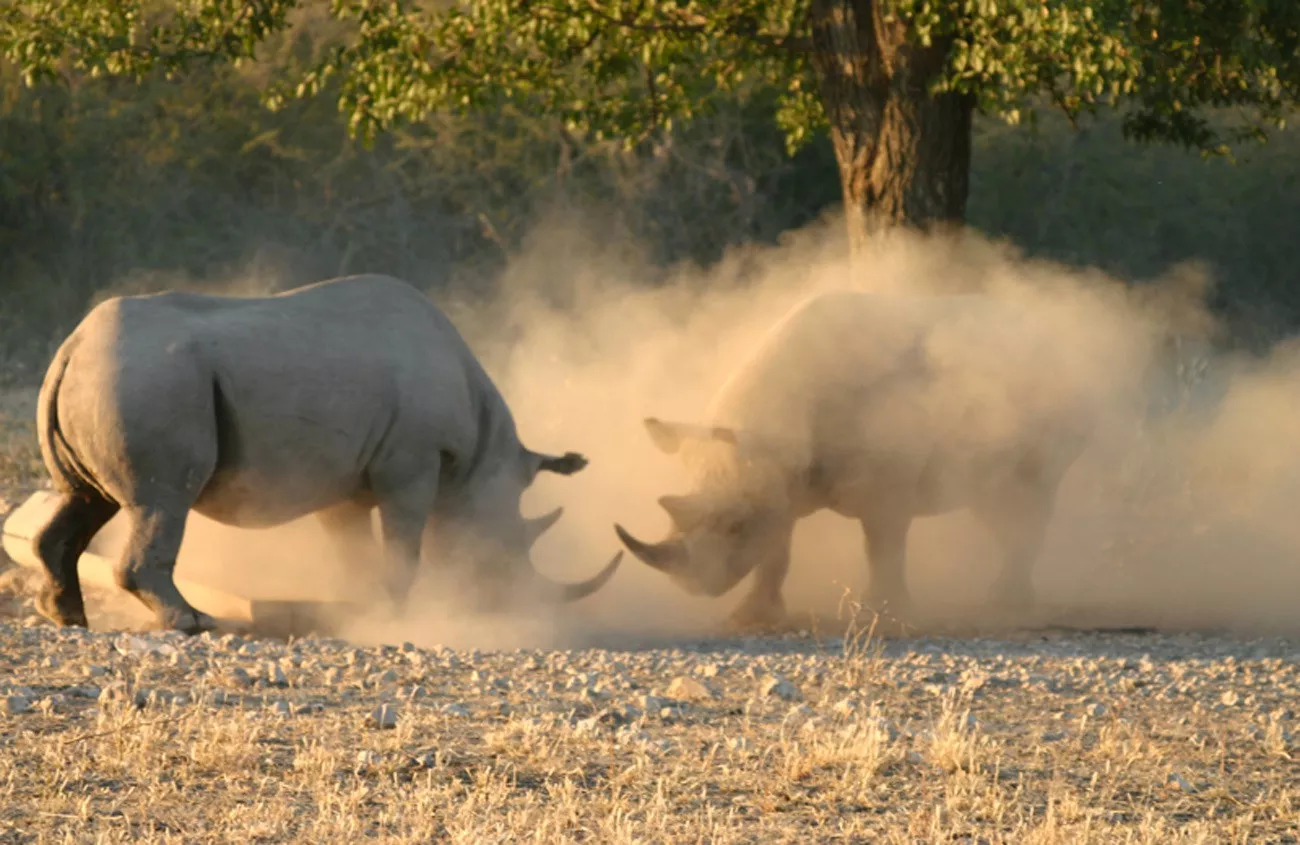 Namíbia Luxo by Wilderness